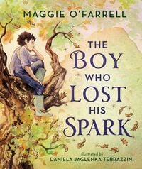 Produktbild: The Boy Who Lost His Spark