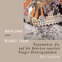 Produktbild: Nepomuken, die auf die Br&uuml;cken spucken
