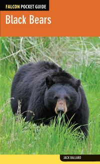 Produktbild: Black Bears