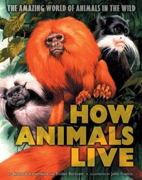 Produktbild: How Animals Live: Amazing World of Animals in the Wild, the