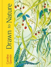Produktbild: Drawn to Nature