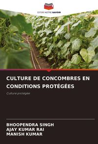 Produktbild: Culture De Concombres En Conditions Prot&eacute;g&eacute;es