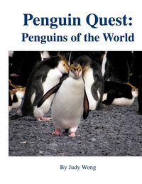 Produktbild: Penguin Quest