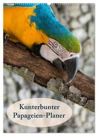 Produktbild: Kunterbunter Papageien-Planer (Wandkalender 2026 DIN A2 hoch), CALVENDO Monatskalender