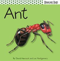 Produktbild: Pop Up-Ant