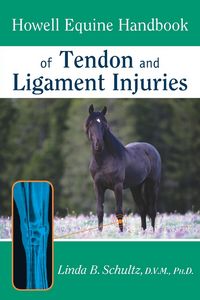 Produktbild: Howell Equine Handbook of Tendon and Ligament Injuries