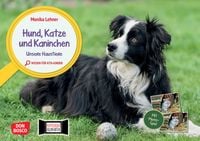 Produktbild: Hund, Katze und Kaninchen. Unsere Haustiere. Kamishibai Bildkarten und Memo-Spiel