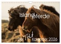 Produktbild: Islandpferde - Der T&ouml;lt Kalender (Wandkalender 2026 DIN A4 quer), CALVENDO Monatskalender