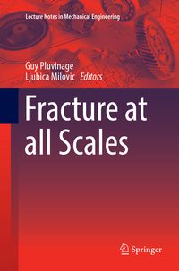 Produktbild: Fracture at all Scales