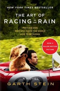 Produktbild: Art Of Racing in The Rain Tie-