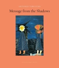 Bild vom Artikel Message from the Shadows: Selected Stories vom Autor Antonio Tabucchi