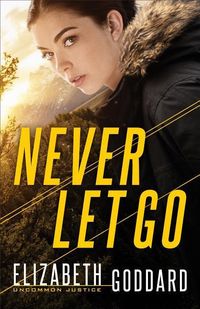 Produktbild: Never Let Go