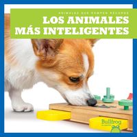 Produktbild: Los Animales M&aacute;s Inteligentes (Smartest Animals)