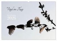 Produktbild: V&ouml;gel im Fluge (Wandkalender 2026 DIN A2 quer), CALVENDO Monatskalender