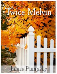 Produktbild: Twice Melvin