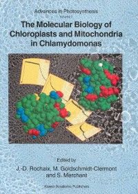 Produktbild: The Molecular Biology of Chloroplasts and Mitochondria in Chlamydomonas