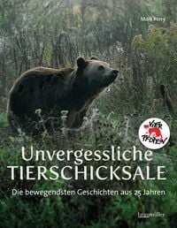 Produktbild: Unvergessliche Tierschicksale
