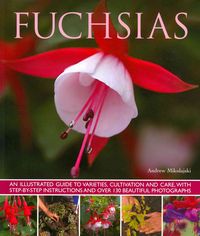 Produktbild: Fuchsias