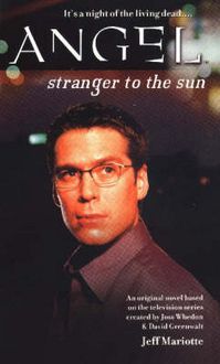 Produktbild: Stranger to the Sun