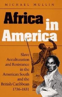 Produktbild: Mullin, M: Africa in America