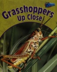 Produktbild: Pyers, G: Grasshoppers Up Close