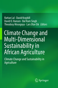 Produktbild: Climate Change and Multi-Dimensional Sustainability in African Agriculture