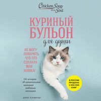 Produktbild: Kurinyy bulon dlya dushi. Ne mogu poverit, chto eto sdelala moya koshka! 101 istoriya ob udivitelnyh vyhodkah lyubimyh pitomtsev