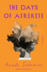 Produktbild: Days Of Afrekete
