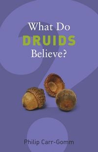 Produktbild: What Do Druids Believe?