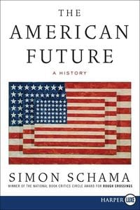 Produktbild: The American Future LP