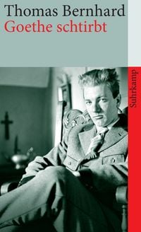 Produktbild: Goethe schtirbt