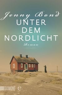Produktbild: Unter dem Nordlicht