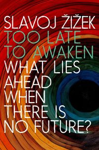 Produktbild: Too Late to Awaken