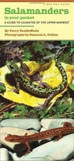 Bild vom Artikel Salamanders in Your Pocket: A Guide to Caudates of the Upper Midwest vom Autor Terry Vandewalle