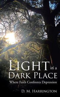 Produktbild: Light in a Dark Place