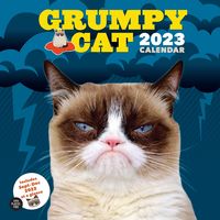 Produktbild: Grumpy Cat 2023 Wall Cal