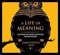 Produktbild: A Life of Meaning