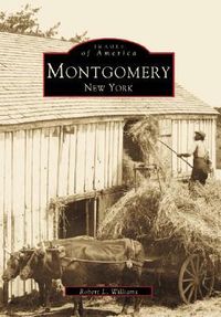 Produktbild: Montgomery, New York