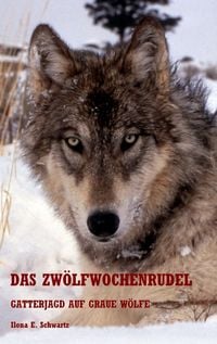 Produktbild: Das Zw&ouml;lfwochenrudel