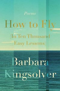 Produktbild: How to Fly (in Ten Thousand Easy Lessons)