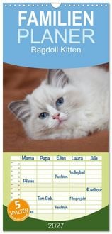 Produktbild: Familienplaner 2027 - Ragdoll Kitten mit 5 Spalten (Wandkalender, 21 x 45 cm) CALVENDO