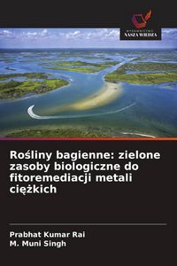 Produktbild: Ro&iquest;liny bagienne: zielone zasoby biologiczne do fitoremediacji metali ci&iquest;&iquest;kich