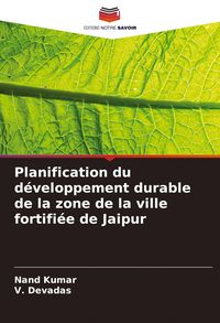 Produktbild: Planification du d&eacute;veloppement durable de la zone de la ville fortifi&eacute;e de Jaipur