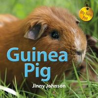 Produktbild: Guinea Pig