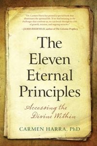 Produktbild: The Eleven Eternal Principles