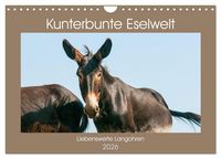 Produktbild: Kunterbunte Eselwelt - Liebenswerte Langohren (Wandkalender 2026 DIN A4 quer), CALVENDO Monatskalender