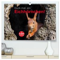 Produktbild: Guck mal, ein Eichh&ouml;rnchen! (hochwertiger Premium Wandkalender 2026 DIN A2 quer), Kunstdruck in Hochglanz