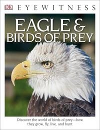 Produktbild: Burnie, D: Eyewitness Eagle and Birds of Prey