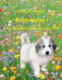 Produktbild: Bootsmann