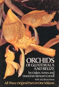 Produktbild: Orchids Of Guatemala & Belize